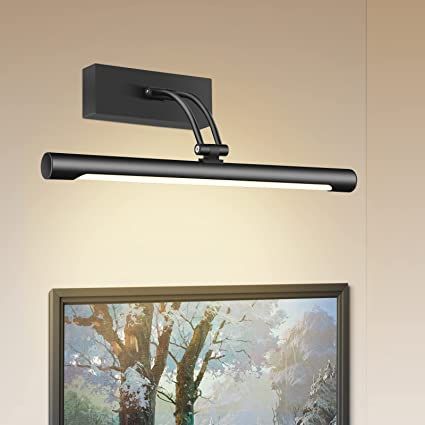 PESUTEN LED Picture Light, Full Metal Display Light with Flexible Light Head, Hardwired Painting ... | Amazon (US)