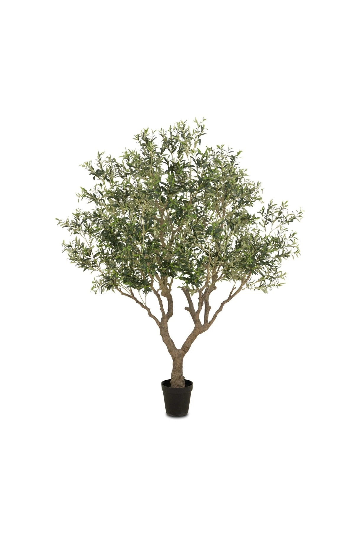 Designer Approved - Faux Olive Tree Wide | THELIFESTYLEDCO