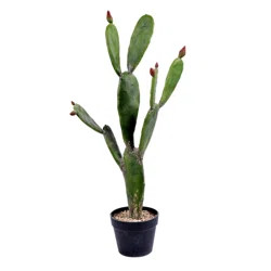Bungalow Rose Artificial Cactus Tree in Pot | Wayfair | Wayfair North America