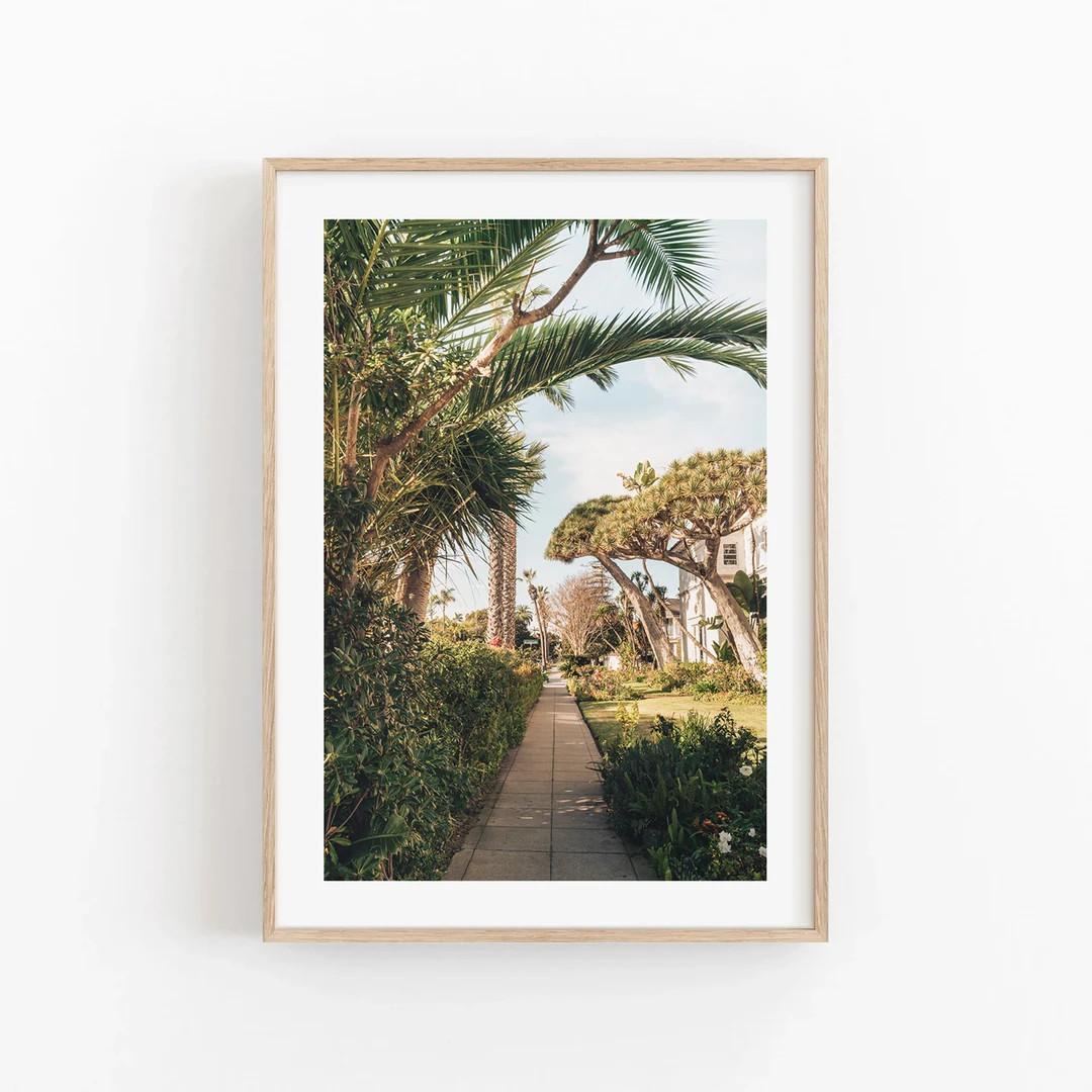 California Nature Charming Photo Warm Decor Southern Cali Print Green Lush Wall San Diego Coronad... | Etsy (US)