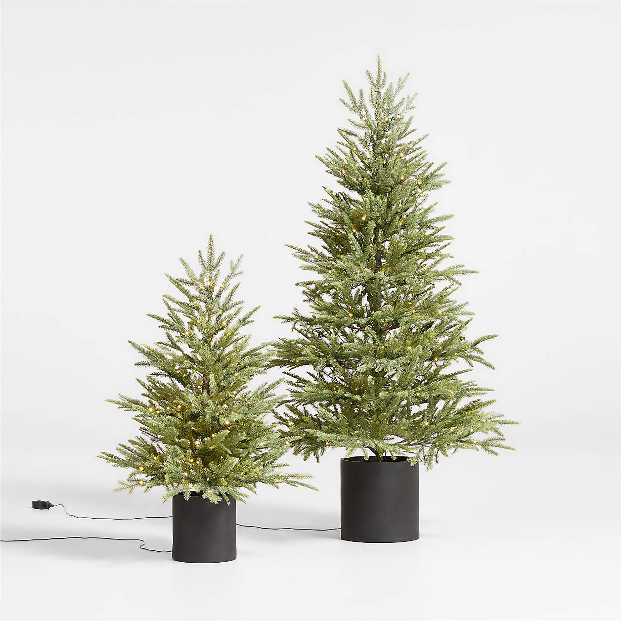Potted Faux Norway Spruce Pre-Lit LED Tree with White Lights 5' + Reviews | Crate & Barrel | Crate & Barrel