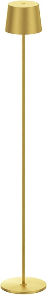 Cordless Modern Gold Standing Lamp, IP54 Waterproof, Rechargeable, Adjustable Height for Outdoor/... | Amazon (US)