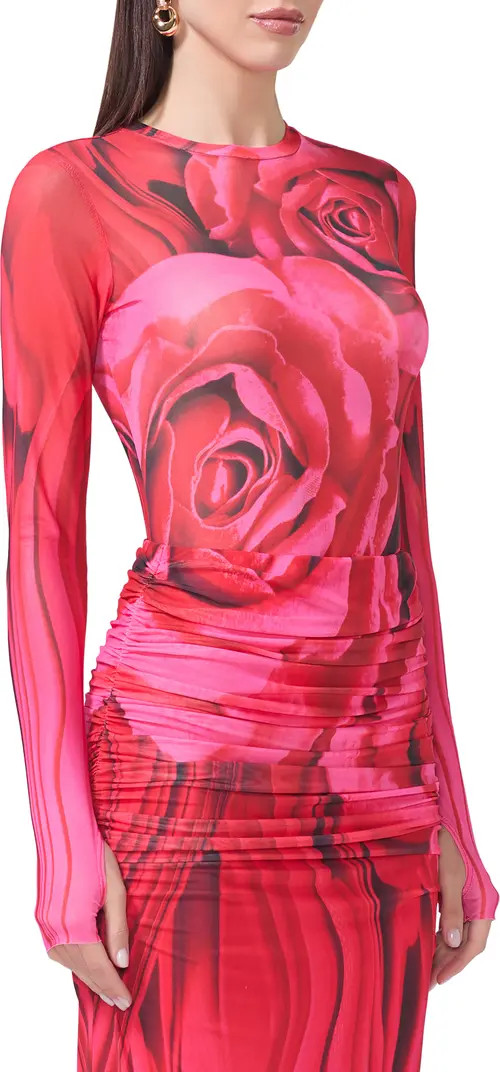 Kaylee Print Sheer Mesh Top | Nordstrom