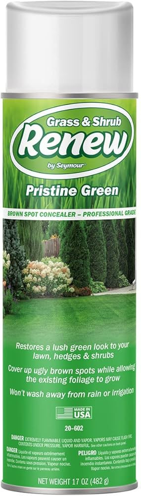 Seymour 20-602 Grass and Shrub Renew Spray Paint, Pristine Green (17 oz.) | Amazon (US)