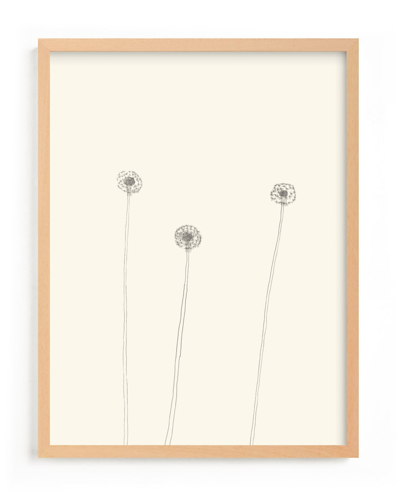 Dandelions | Minted