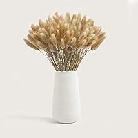 Beau Jour Natural Dried Lagurus ovatus 100 Pcs, Dried Pampas Grass Flower Arrangements Wedding Ho... | Amazon (US)