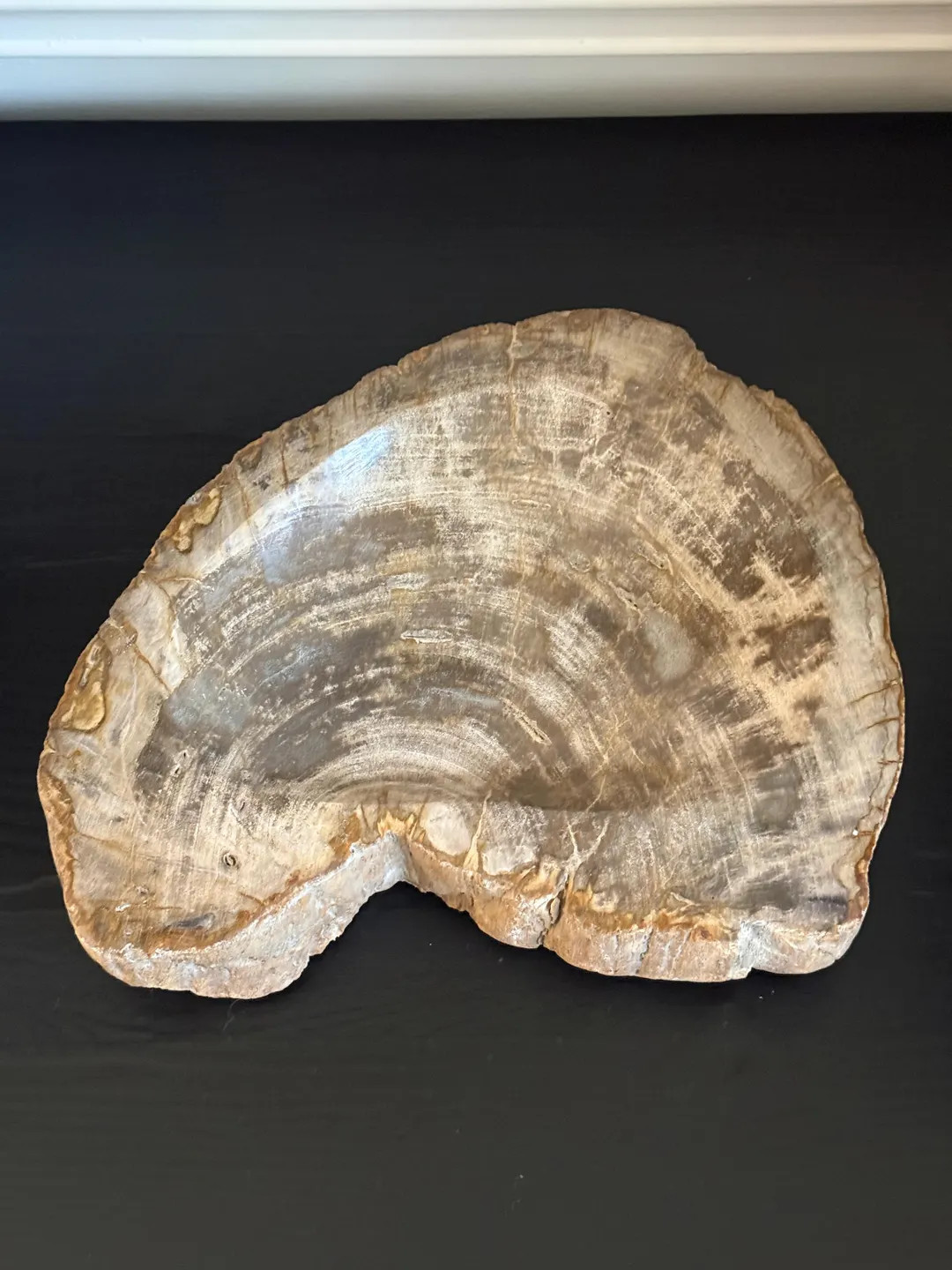 Large Petrified Wood Bowl - Etsy | Etsy (Global)