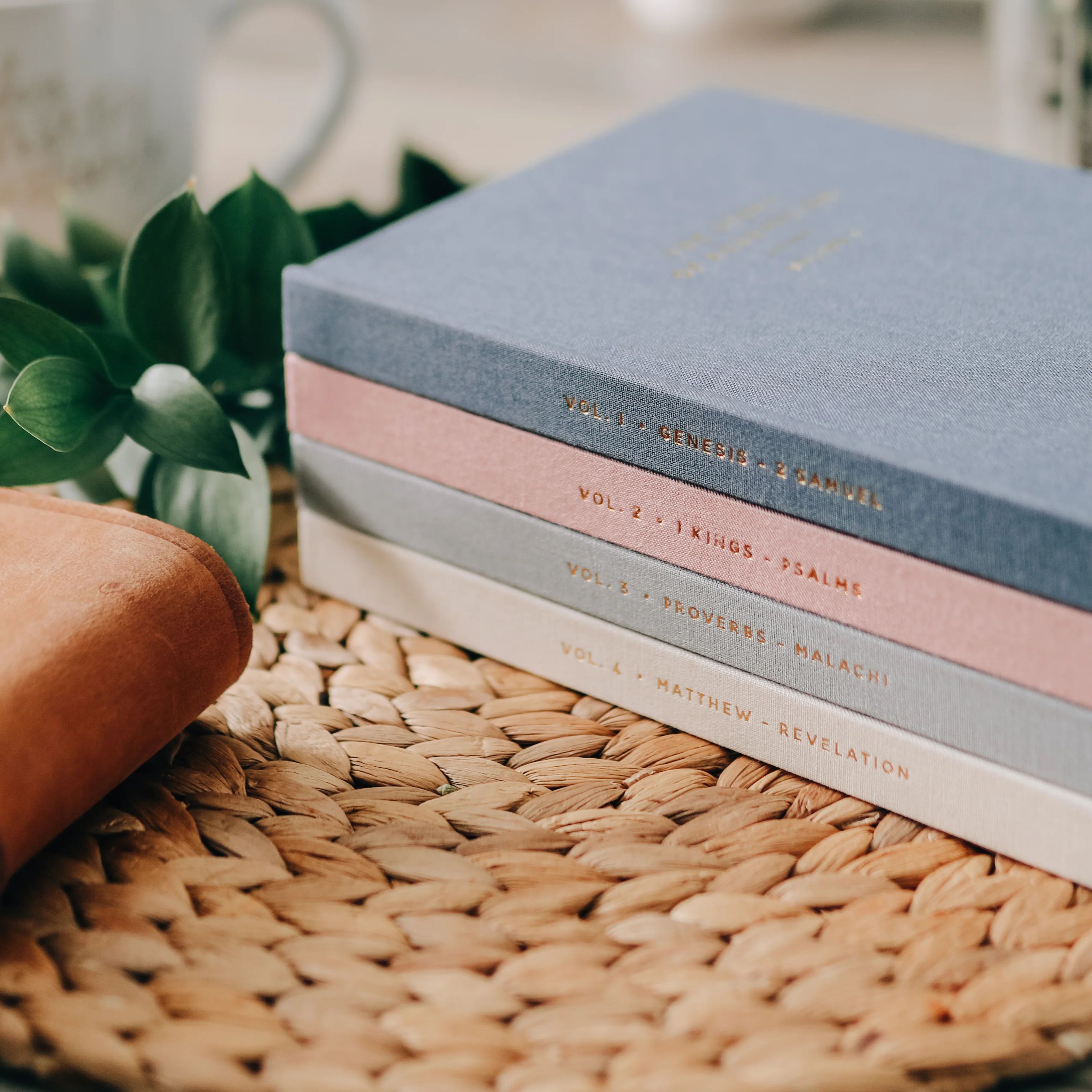 The Story of Redemption Journal Bundle | The Daily Grace Co.
