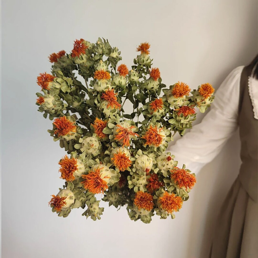 Dried Safflower Bunchnatural Carthamu Flower Branchesdried Flower for Vase Fillinghome Decoration... | Etsy (US)