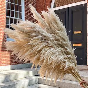 5 Large 4ft Tall Fluffy Natural Dried Pampas Grass Trending | Etsy | Etsy (US)