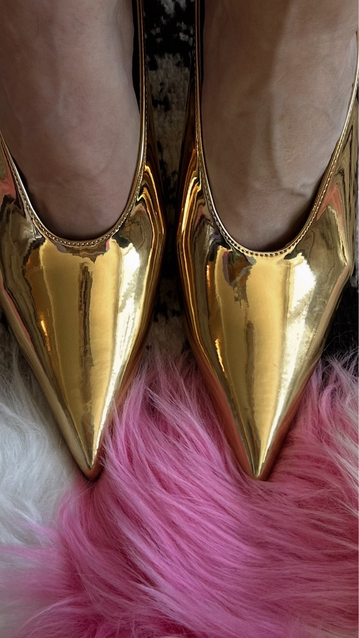 Gold pointed toe mules wedges

Shag checkered carpett

#LTKShoeCrush #LTKHome