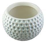 Accents & Occasions Ceramic Golf Ball Planter or Flower Arrangement Vase, 3-3/4-Inch | Amazon (US)