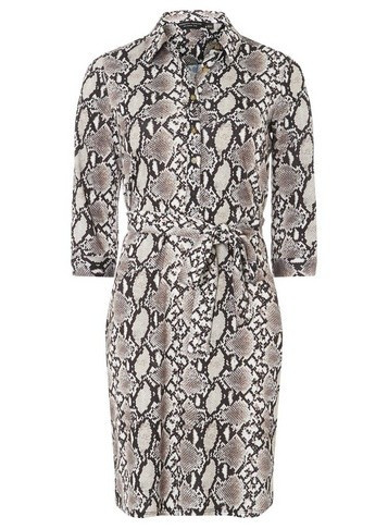 Cream Snake Print Ponte Shirt Dress | Dorothy Perkins US