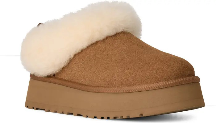 Tazzelle Genuine Shearling Collar Slipper (Women) | Nordstrom