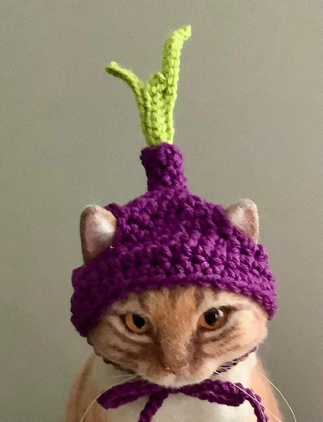 Cat and Pet Hat Purple Onion Vegetable Cat Hats - Etsy | Etsy (US)