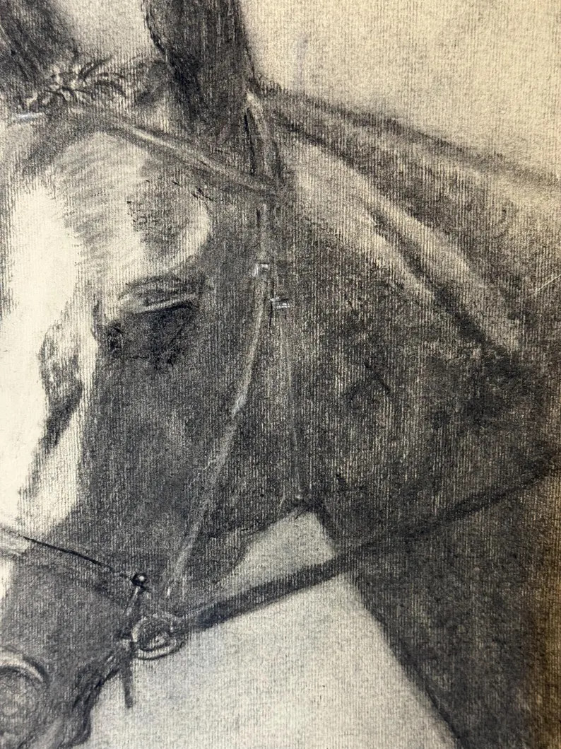 Charcoal Horse Portrait Sketch - Etsy | Etsy (US)