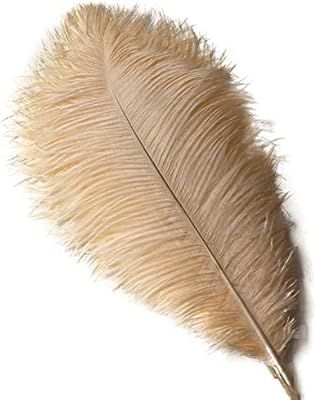 Sowder 10pcs Ostrich Feathers 12-14inch(30-35cm) for Home Wedding Decoration (Champange) | Amazon (US)