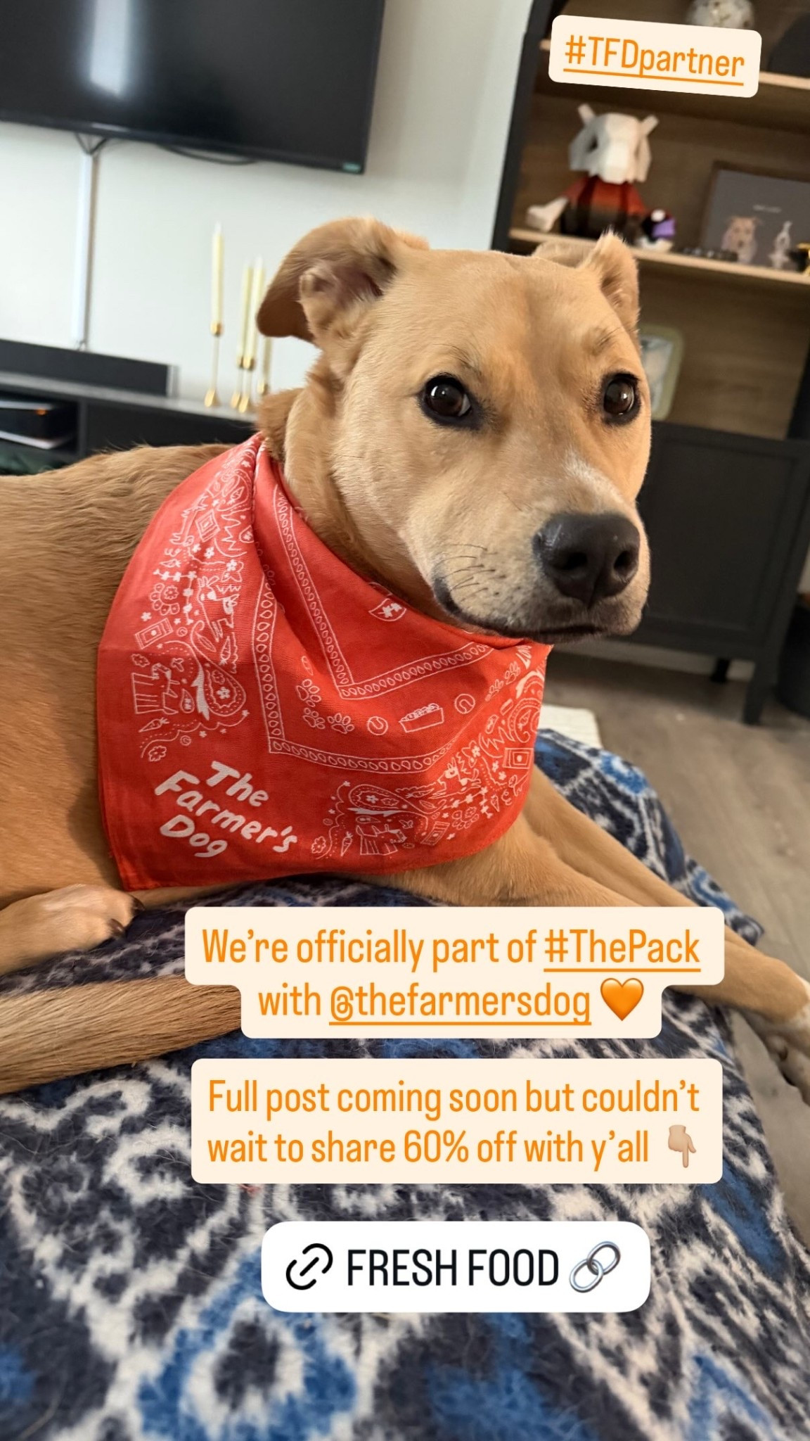 We’re officially part of #ThePack with @thefarmersdog 🧡 Full post coming soon but couldn’t wait to share 60% off with y’all 👇🏼 #TFDpartner