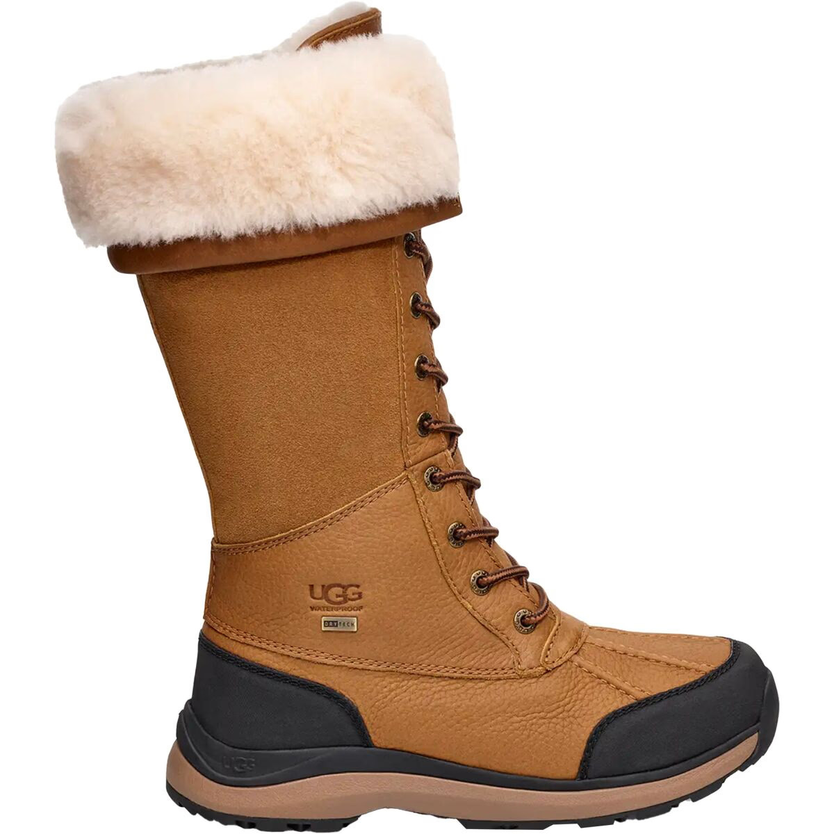 Adirondack III Tall Boot - Women's | Backcountry