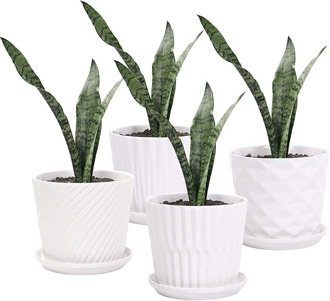 Plant Pots - 5.5 Inch Cylinder Ceramic Planters with Connected Saucer, Pots for Succuelnt and Lit... | Amazon (US)
