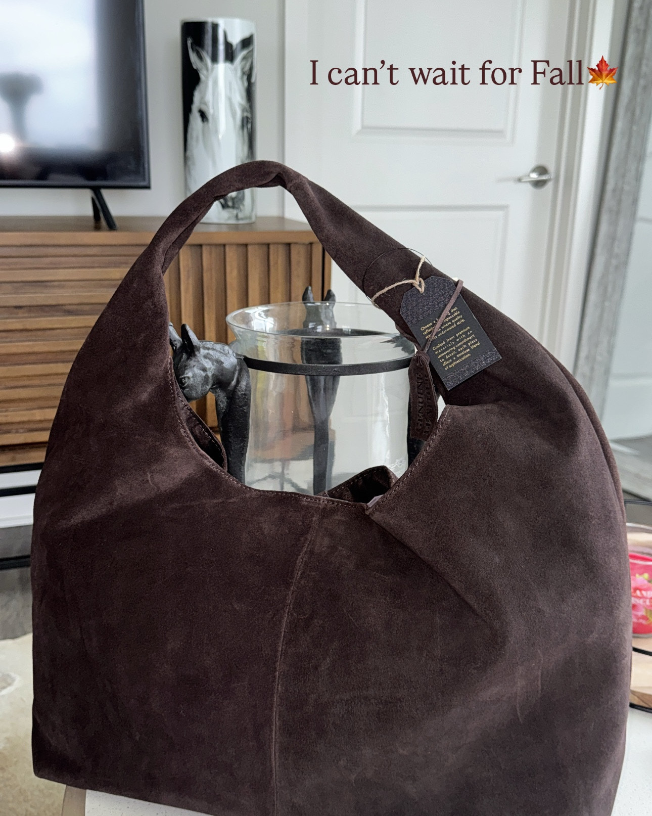 MADE IN INDIA
Suede Drapey Hobo

Available online! 



#LTKFallSale #LTKItBag #LTKSeasonal