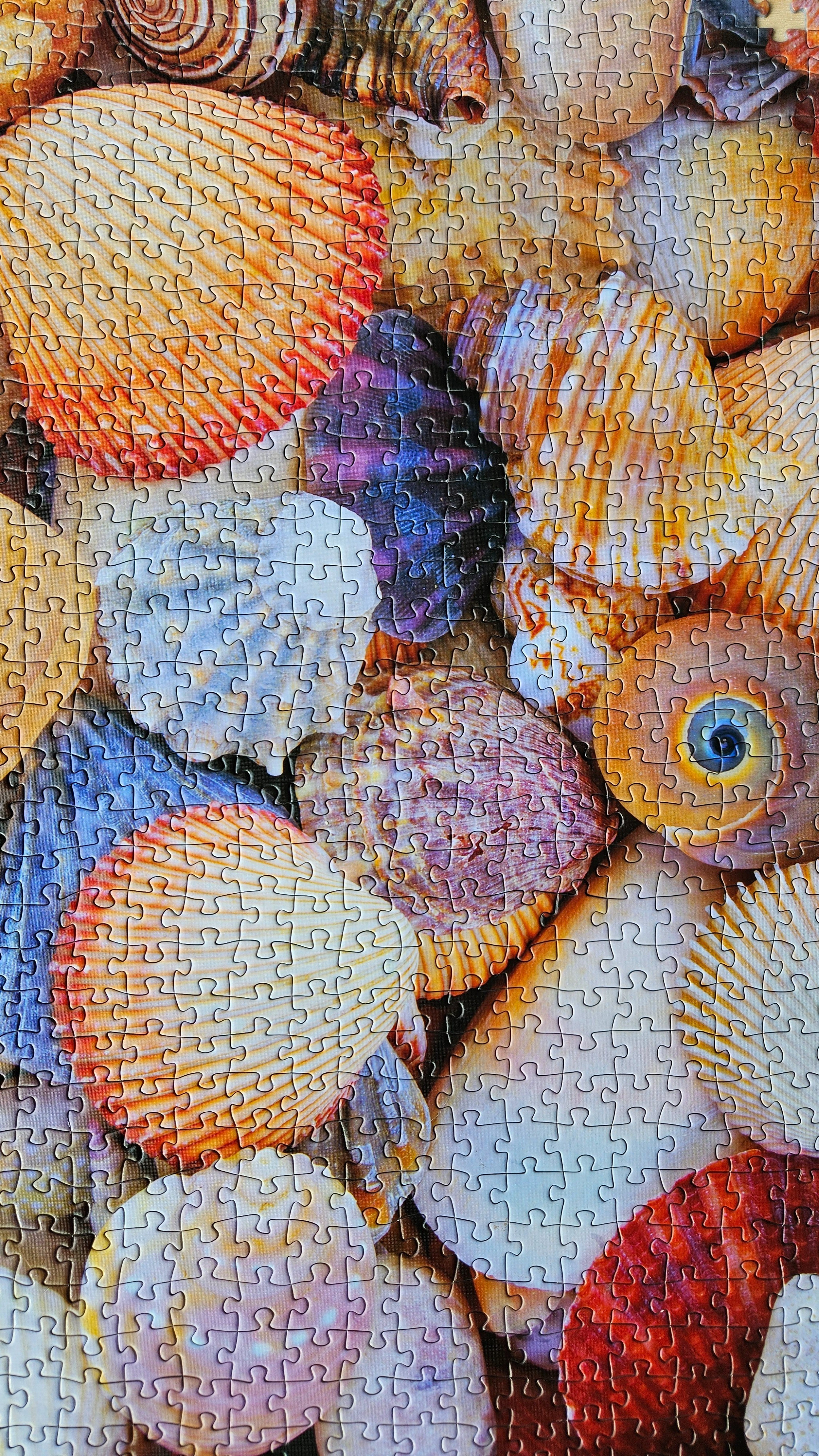 linking some fave puzzles..my new hobby🤓

#LTKdayinmylife #LTKHome #LTKmomlife