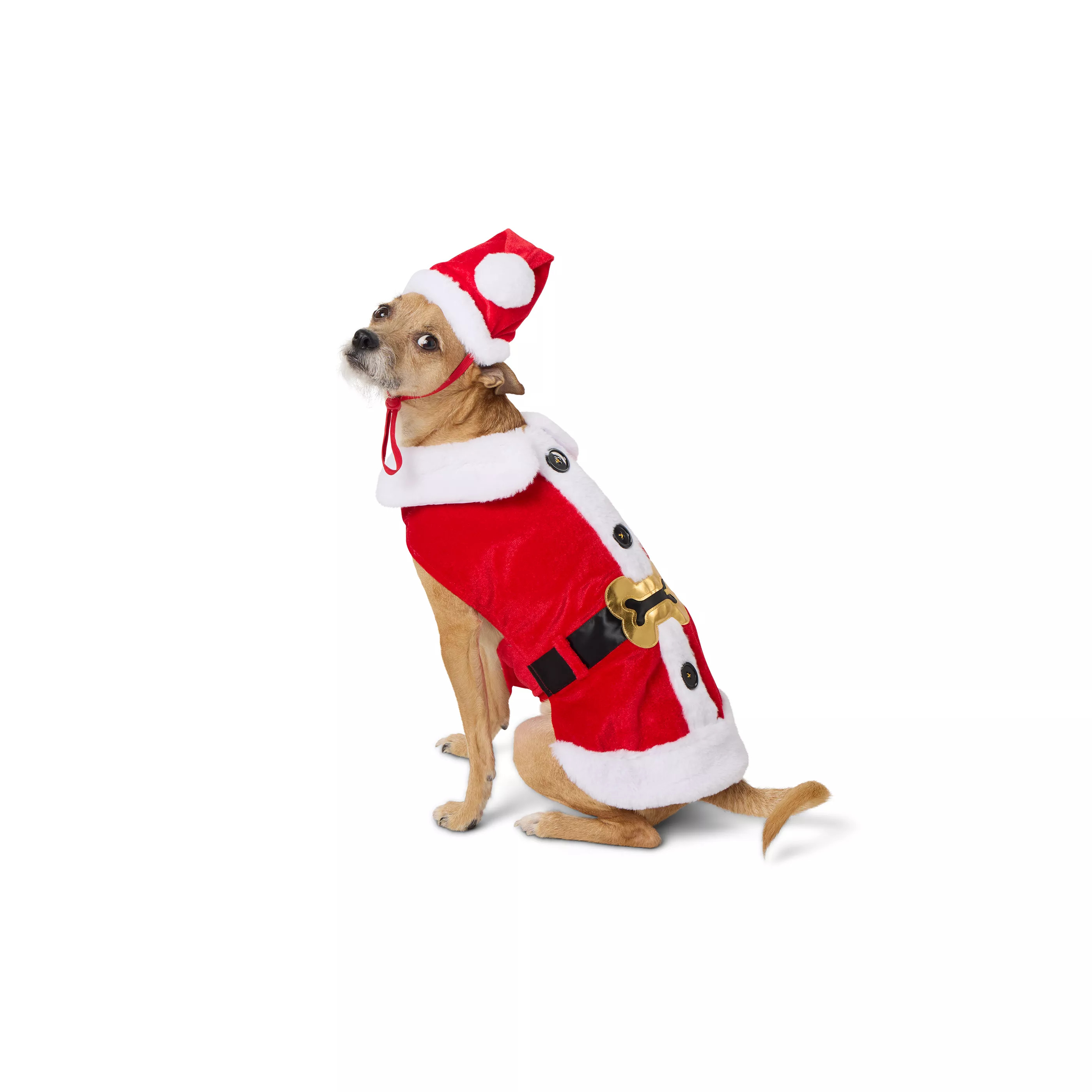 Merry & Bright&trade; Santa Costume, Dog & Cat | PetSmart