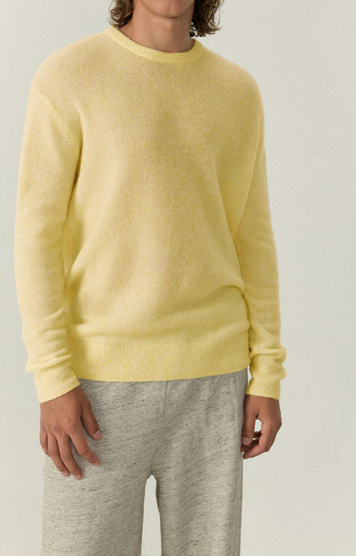 Pull homme Razpark | American Vintage