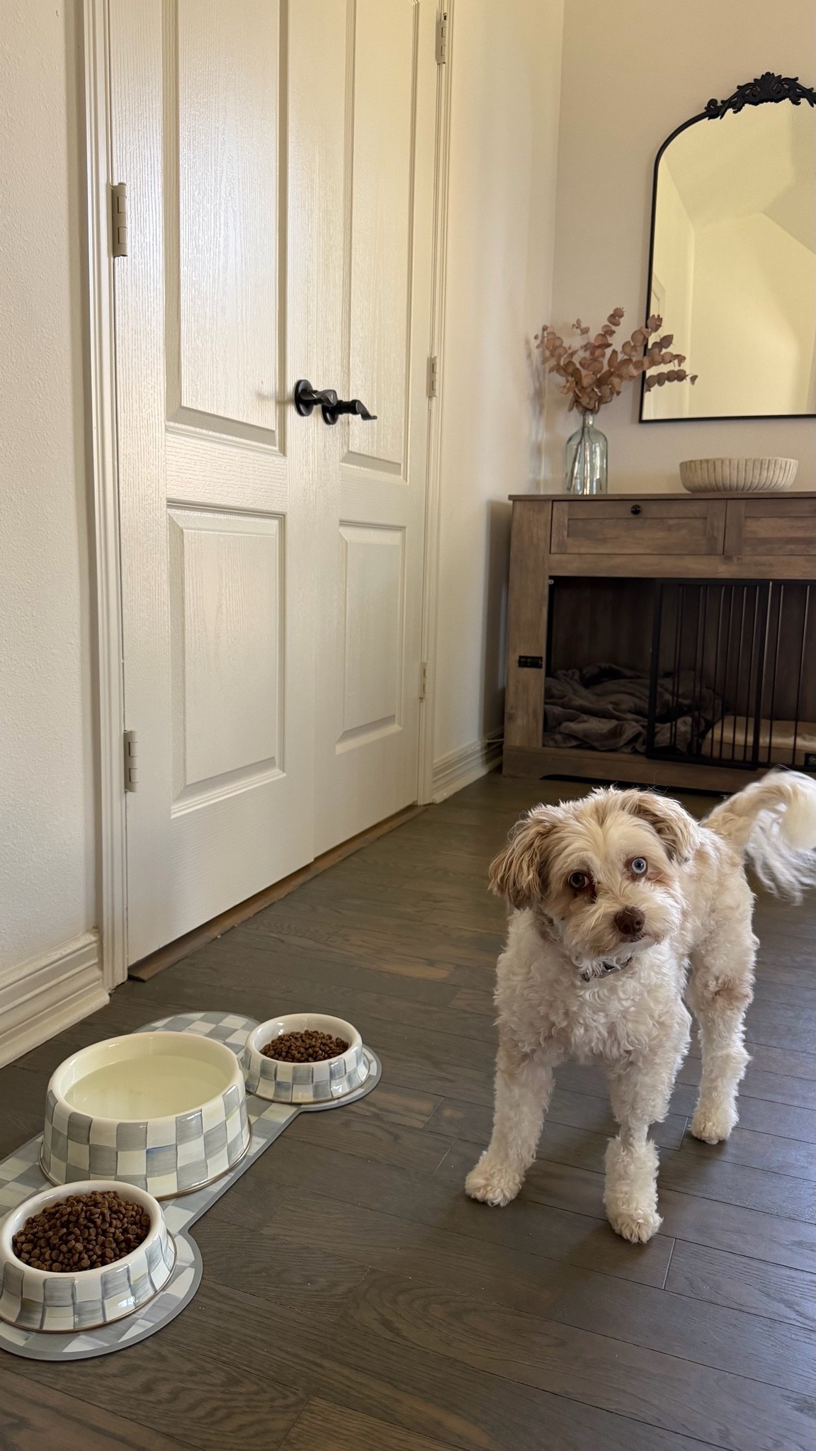 Just got some MacKenzie Childs dishes for the pups!! They’re gorg!