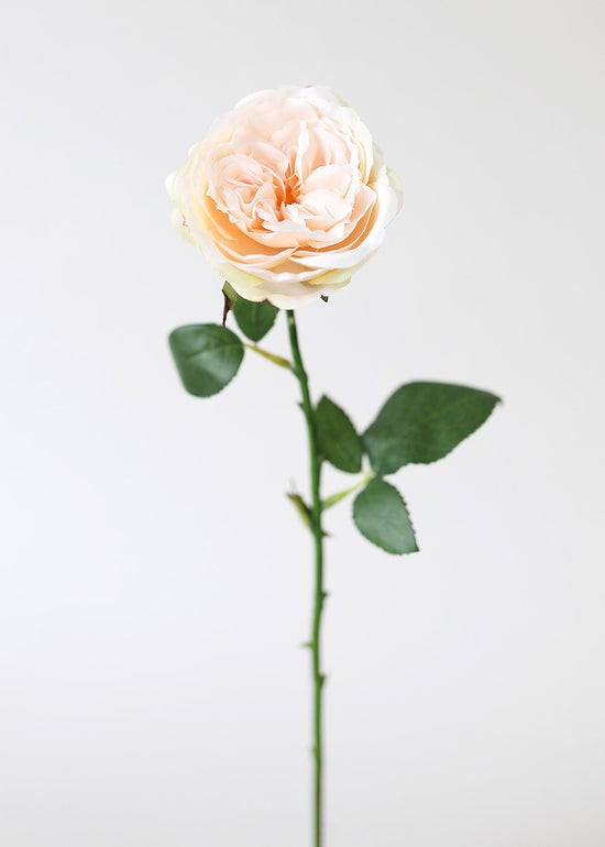 Artificial English Cabbage Rose in Peach Pink | Afloral (US)