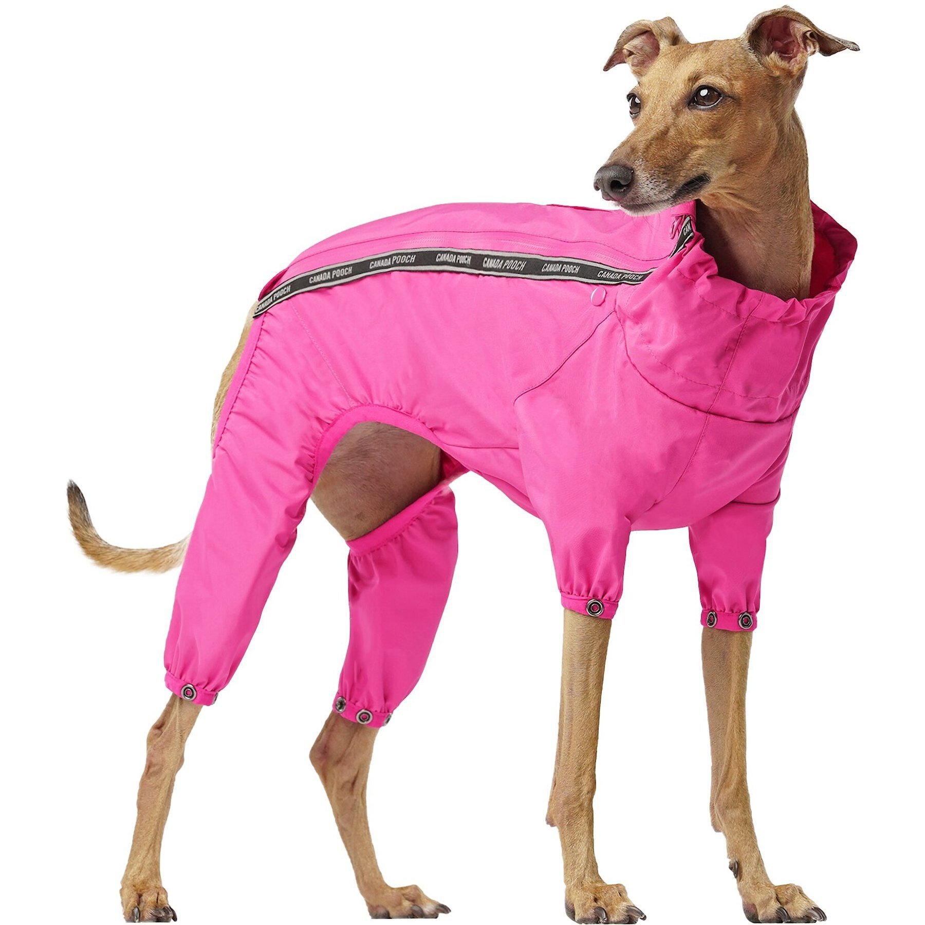 Canada Pooch The Slush Dog Suit, 16, Pink | Chewy Canada