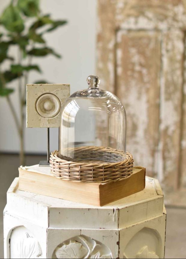 10" Bell Jar w/ Willow Base | The Nested Fig