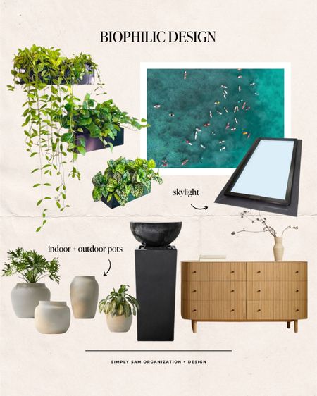 Biophilic Design 

#LTKhome #LTKstyletip