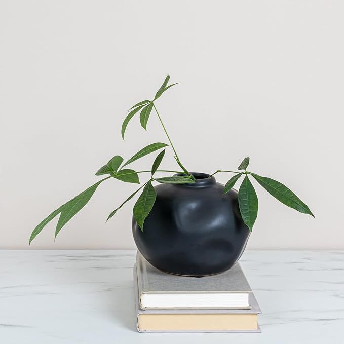 Creative Co-Op Pinched Organic Shape Terracotta, Matte Black Vase | Amazon (US)
