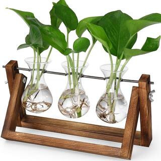 Propagation Station with 3 Glass Vases and Wood Stand – 11 Inch Retro Desktop Planter for Indoor Plants, Hydroponic Gift | The Home Depot