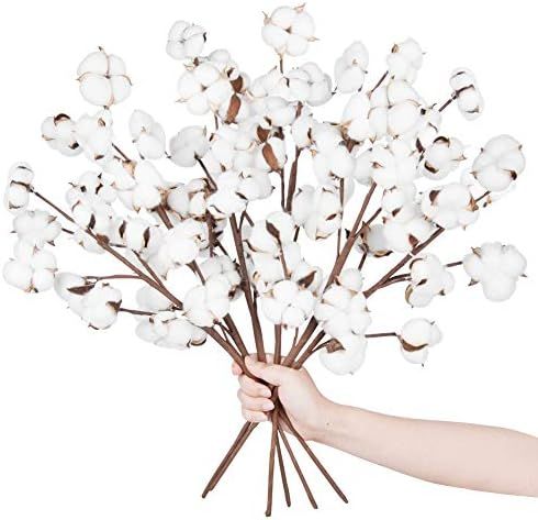 Meiliy Cotton Stems Bulk 6 Pcs 10 Balls Artificial Cotton Branches Farmhouse Decor Floral Display... | Amazon (US)