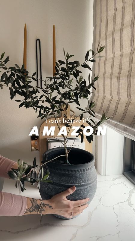 This live olive tree 🥹

Did you know you can buy LIVE plants on Amazon?

I bought the 1.5’ tree and have had him for over a year now. He’s grown so much! 

Please note, live olive trees need plenty of direct sunlight when indoors. 😊 (I’ve learned from personal experience 😅). 

#amazonhomefind #amazonfind #amazondeals # #neutralhomefinds #neutralhome #neutralaesthetic #organicmodern #affordablehomedecor #kitchendesign 

#LTKhome #LTKsalealert #LTKfindsunder50