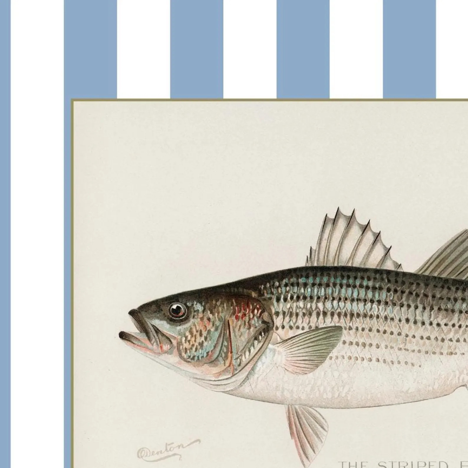 Vintage Fish Print Set of 4: Southern Coastal Nursery Art | Etsy (Global)