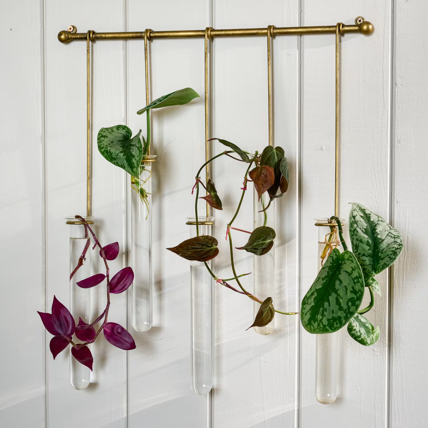 Lila Hanging Glass Wall Vase | Magnolia
