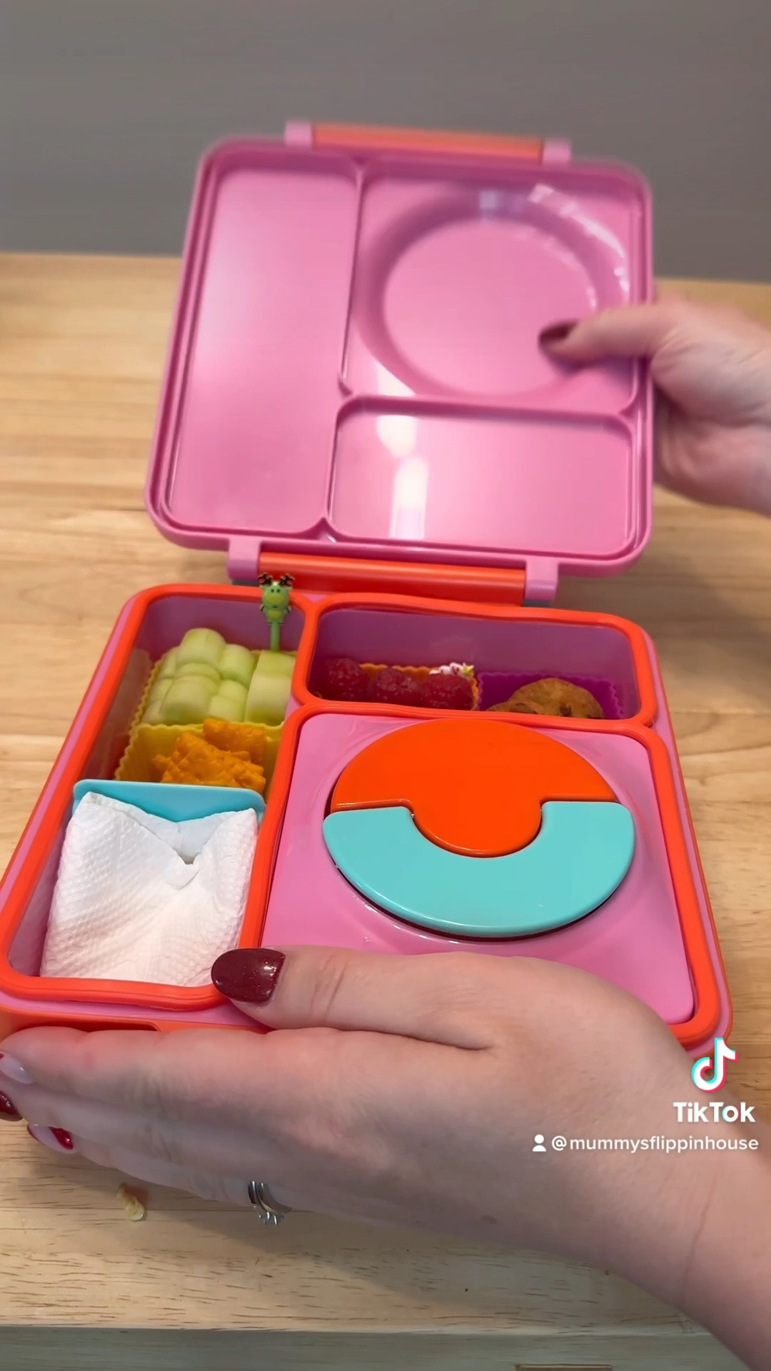 20Pcs Plastic Fruit Picks Kids Food Picks Reusable Lunch Box