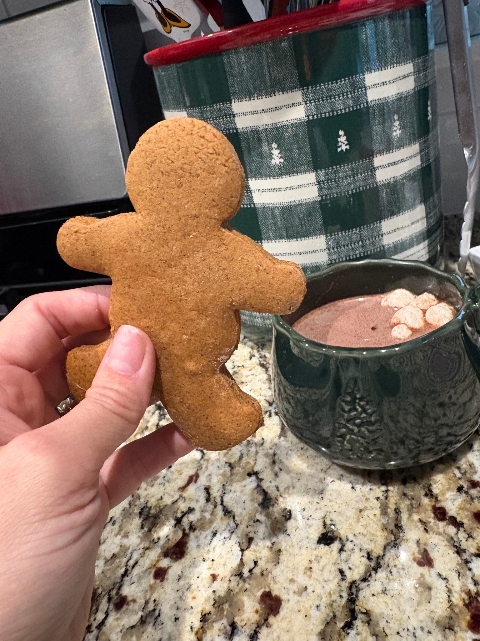 Cutest vintage Christmas vibes are at Target!

#LTKdayinmylife #LTKHoliday #LTKHome