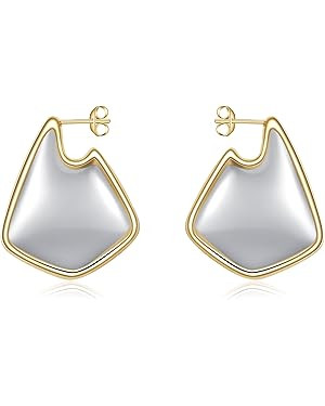 Gold Earrings for Women Trendy,Dupes Earrings Lightweight Hollow Fin Shaped 18K Gold Plated Chunk... | Amazon (US)