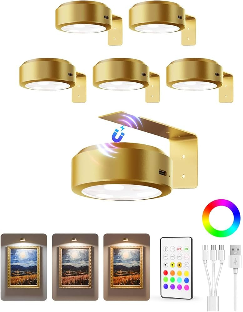 EZVALO Picture Lights for Wall, 2000mAh Rechargeable Battery Magnetic Poster Lights with 3 Color ... | Amazon (CA)