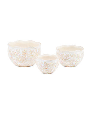 3pc Scalloped Soft Flora Indoor Planters | Marshalls