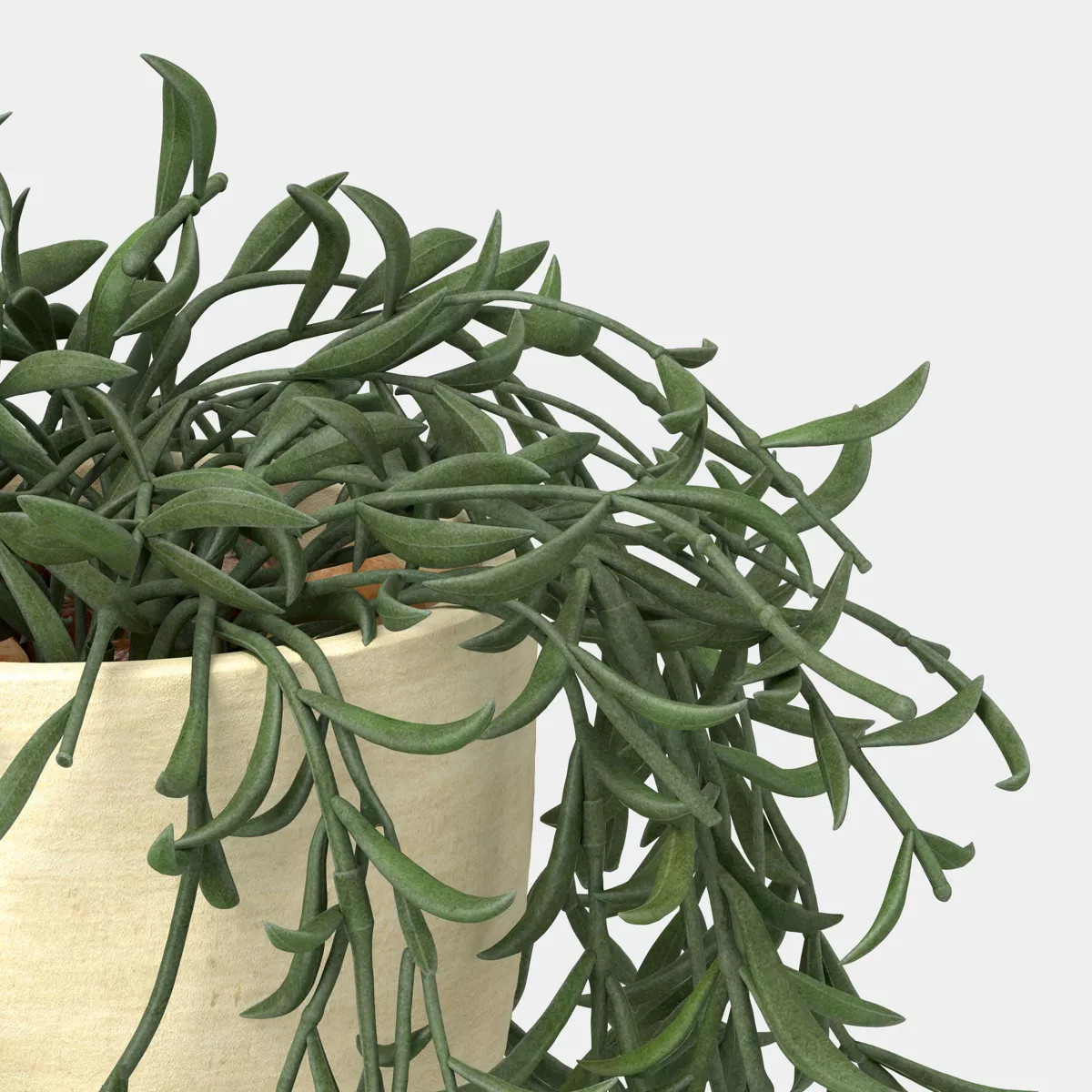 6" Small Artificial Potted Trailing Senecio - Threshold™ | Target