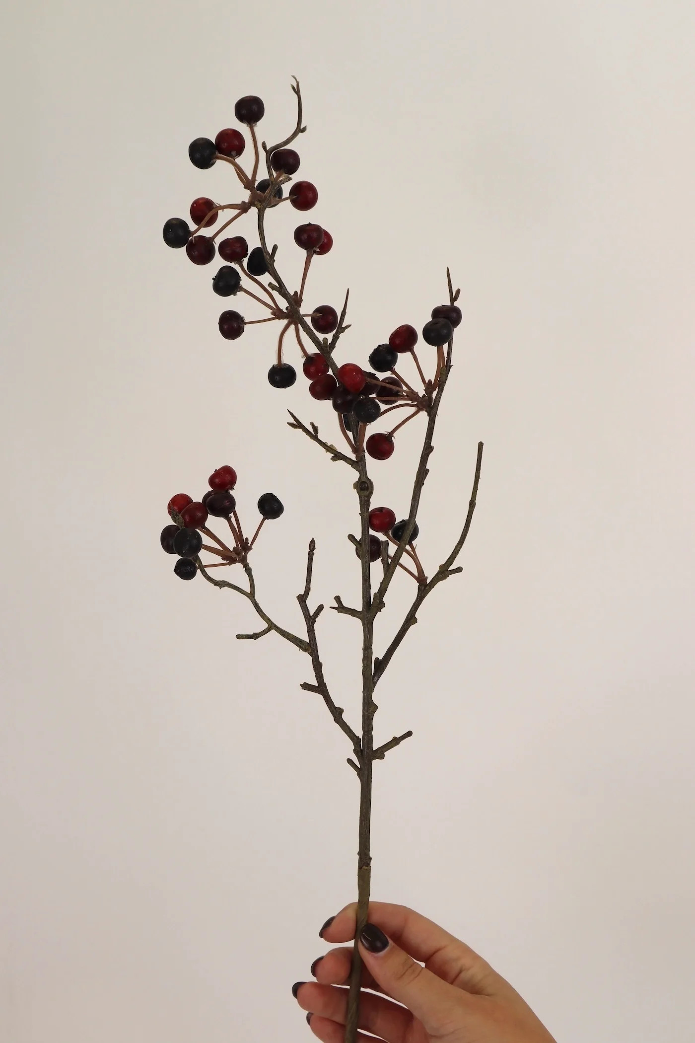 Berry Stem - 26” | THELIFESTYLEDCO