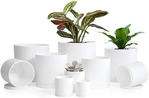 Small Garden Pots (2"/2.5"/3"/3.5"/4"/4.5"/5"/5.5"/6"/6.5") Set of 10 Plastic Succulent Plants Po... | Amazon (US)