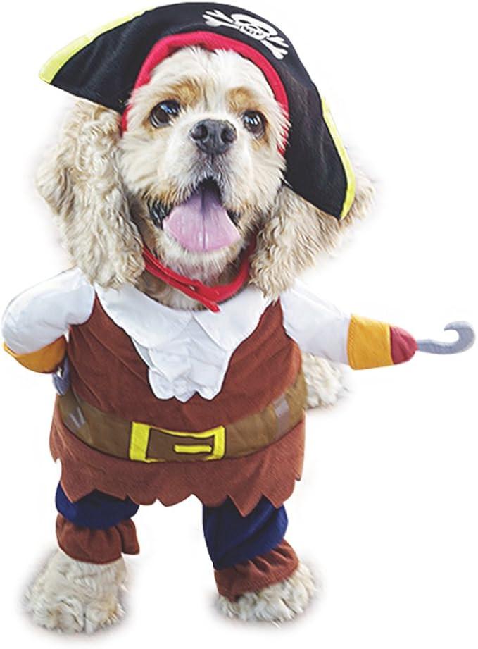 Mikayoo Pet Costume Fashion Pirates of The Caribbean Style Clothes Halloween Suit with a Hat Cost... | Amazon (US)