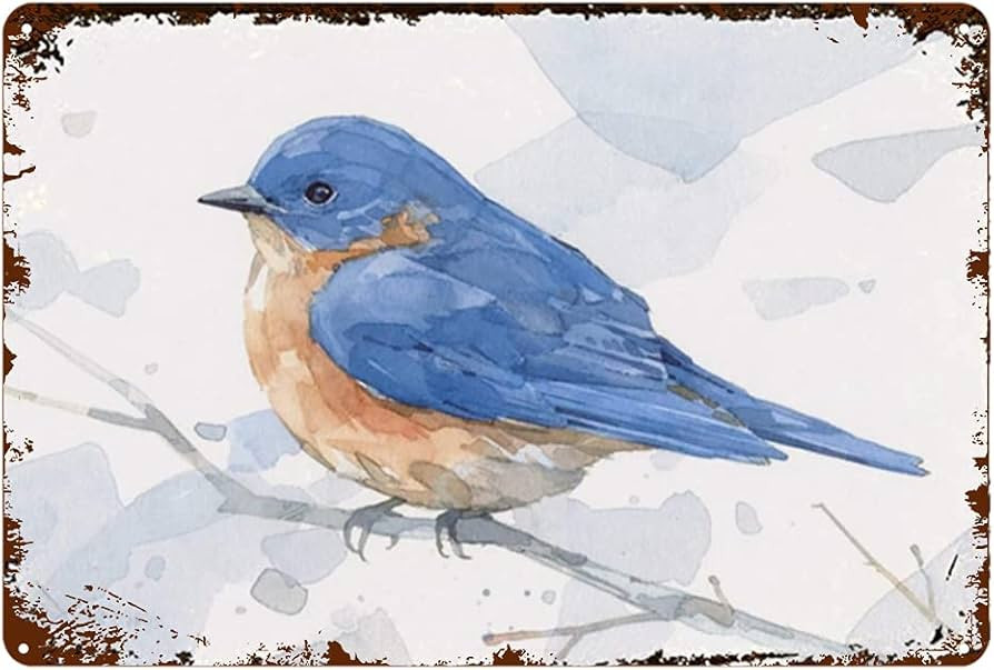 Blue bird Watercolor Novelty Sign Vintage Metal Tin Sign Wall Sign Plaque Poster | Amazon (US)