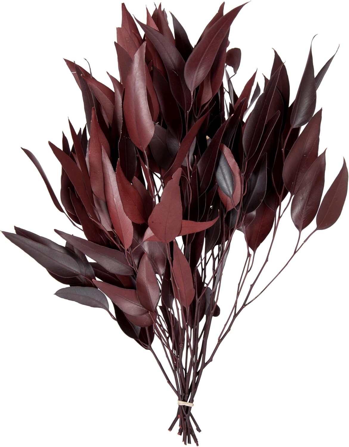 Vickerman 18" Red Weeping Willow Eucalyptus - 5-6 oz Per Pack - Red Preserved Foliage Floral Decor - Burgundy Fall Decor - Natural Botanicals - Weeping Willow | Amazon (US)